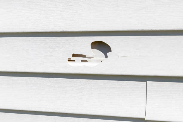 Storm Damage Siding Repair in St Francis, WI